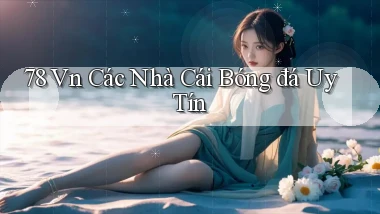 78 vn các nhà cái bóng đá uy tín