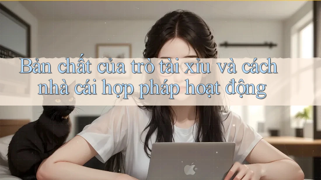 Bản chất của trò tài xỉu và cách nhà cái hợp pháp hoạt động