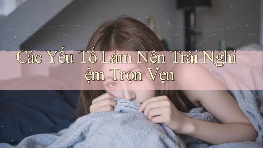 Các Yếu Tố Làm Nên Trải Nghiệm Trọn Vẹn