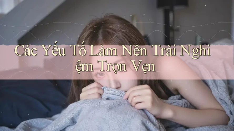 Các Yếu Tố Làm Nên Trải Nghiệm Trọn Vẹn