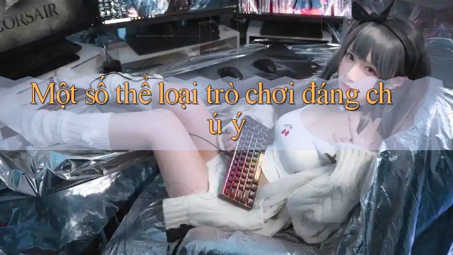Một số thể loại trò chơi đáng chú ý