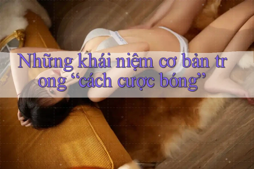 Những khái niệm cơ bản trong “cách cược bóng” Những khái niệm cơ bản trong “cách cược bóng”