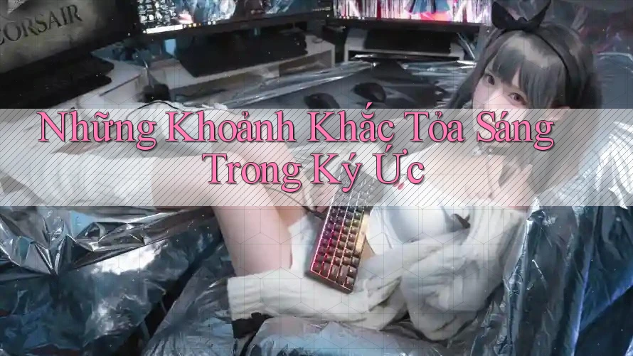 Những Khoảnh Khắc Tỏa Sáng Trong Ký Ức