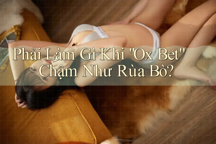 Phải Làm Gì Khi “Ox Bet” Chậm Như Rùa Bò? Phải Làm Gì Khi “Ox Bet” Chậm Như Rùa Bò?