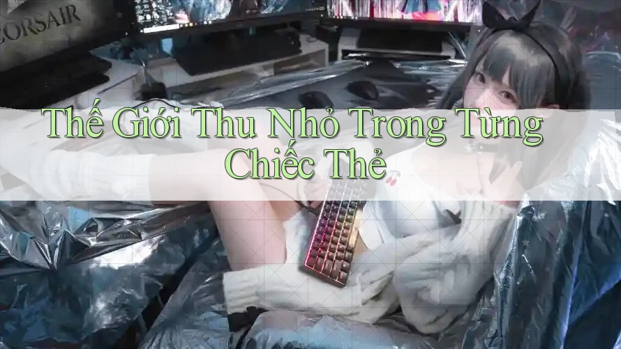 Thế Giới Thu Nhỏ Trong Từng Chiếc Thẻ