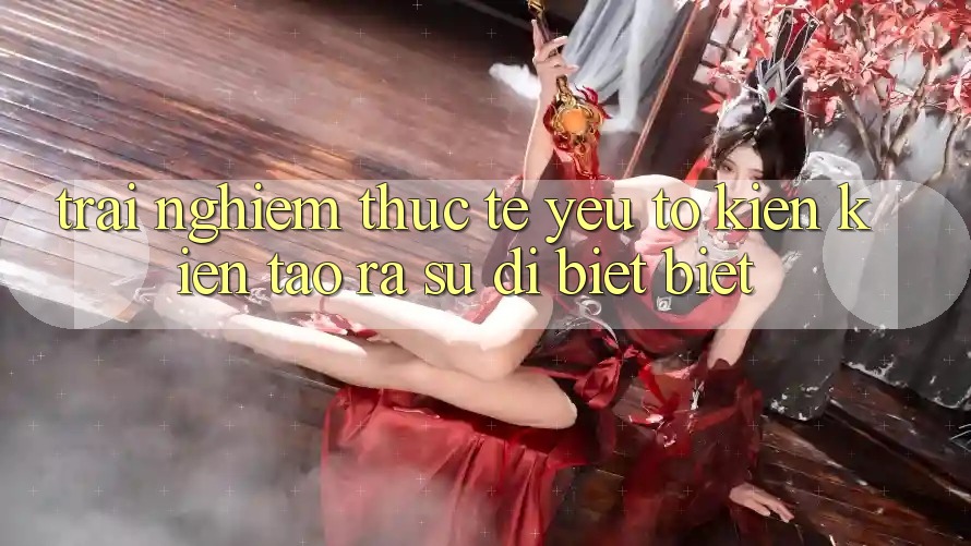 Trải nghiệm Thực Tế: Yếu Tố Kiến kiến tạo ra Sự Dị biệt Biệt